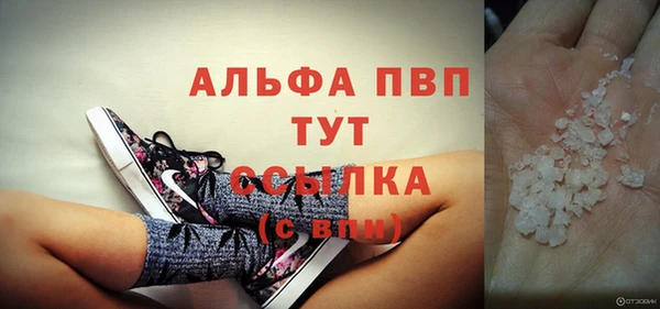 трава Бородино