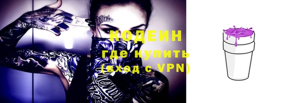 трава Бородино