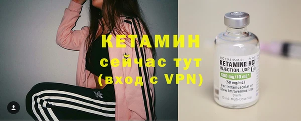 трава Бородино