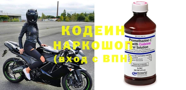 трава Бородино
