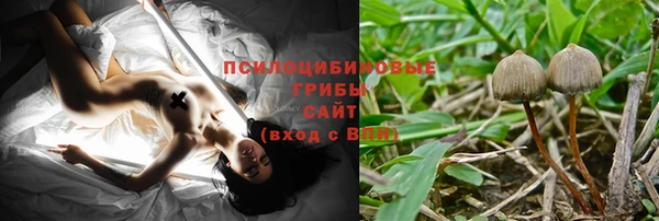 мдпв Дрезна