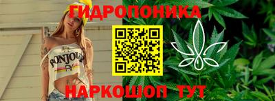 гашиш Гусев