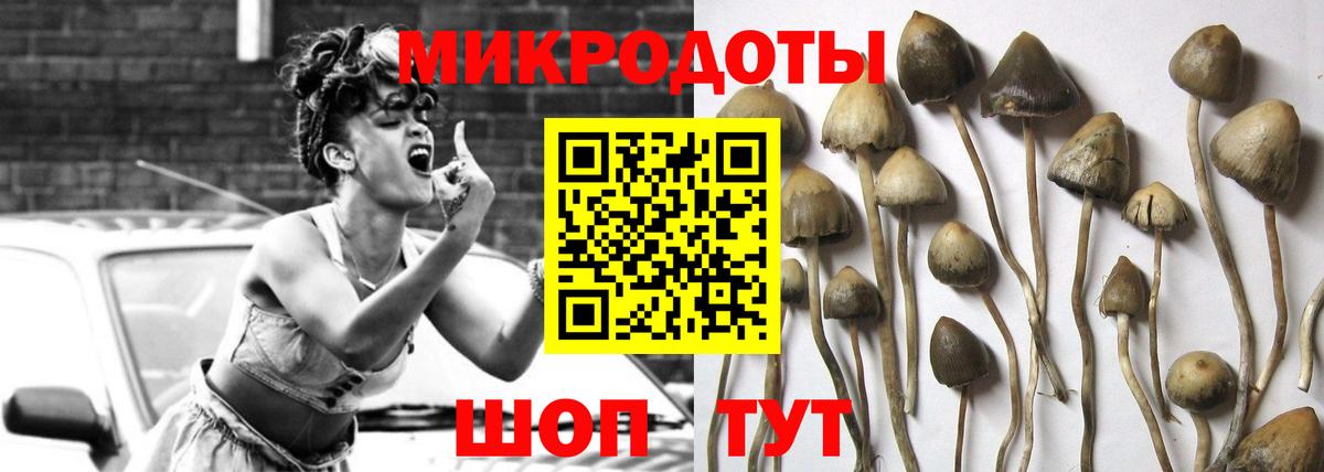 Галлюциногенные грибы Psilocybe  Вход с VPN  Малоярославец 